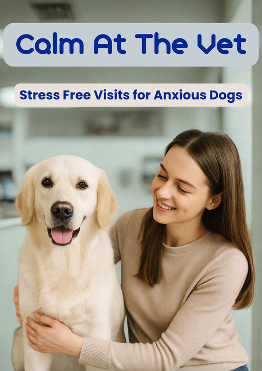 Calm at the Vet: Stress-Free Visits for Anxious Dogs