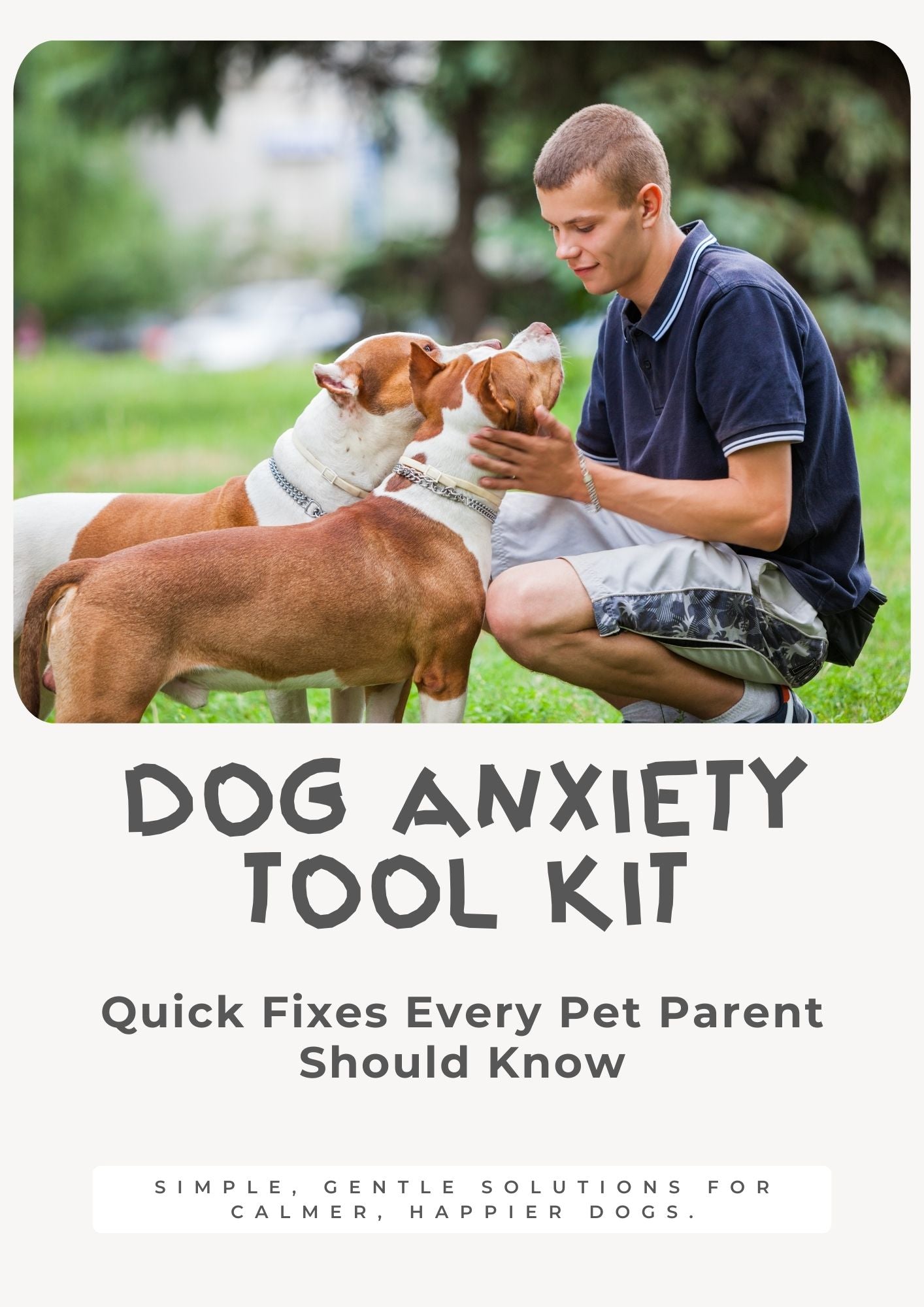 Dog Anxiety Tool Kit: Quick Fixes Every Pet Parent Should Know