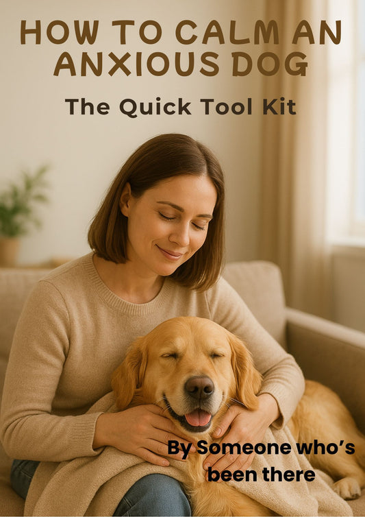 How to Calm an Anxious Dog : The Quick Tool Kit